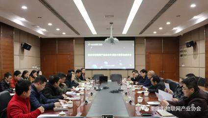 重慶市物聯網產業協會專家技術委員會座談會圓滿舉行，共商信息技術服務新篇章
